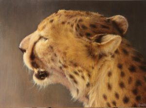 Guepardo